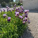 Le Clos Du Plantis