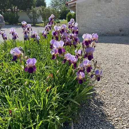 Le Clos Du Plantis