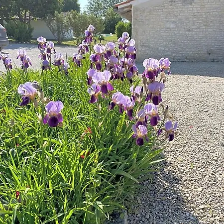 Le Clos Du Plantis